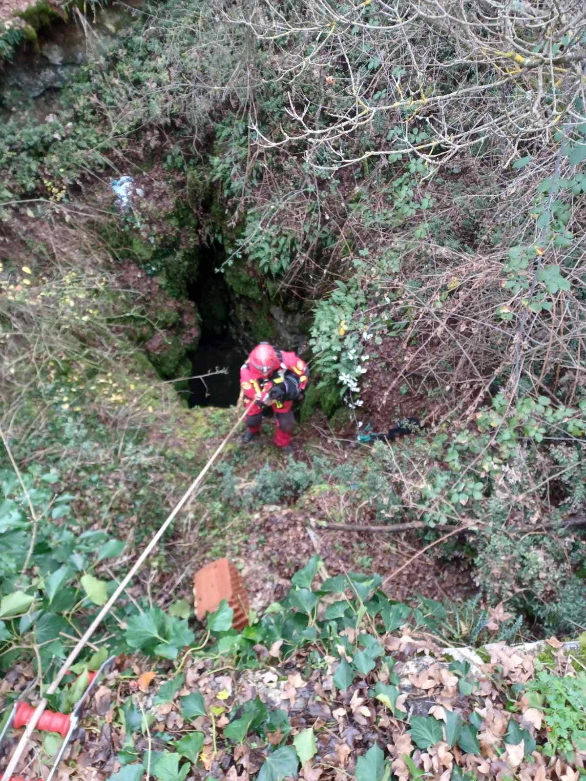Rovinjski vatrogasci spasili psa iz jame duboke 15 metara: 'Beta je dobro, vratili smo je vlasniku'
