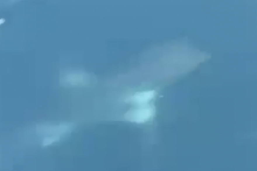 Snimljen morski pas na Bra&ccaron;u