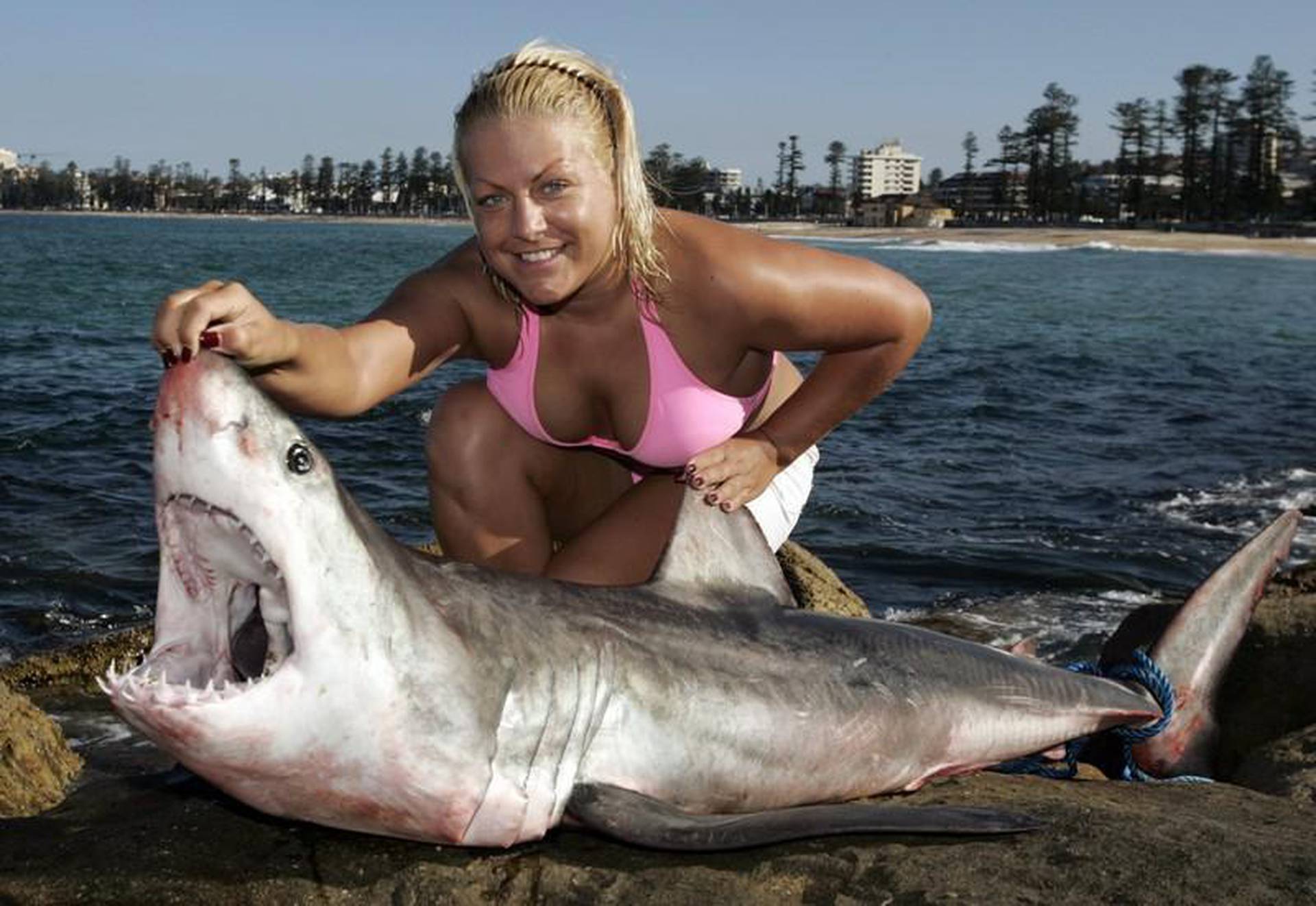 К чему снятся акулы в воде женщине. Девушка акула. Девочка акула. Девушка плавает с белой акулой. Девушка и акула фото.