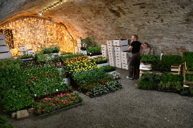 FOTO Sve je šareno i veselo! Brođane čeka sajam cvijeća
