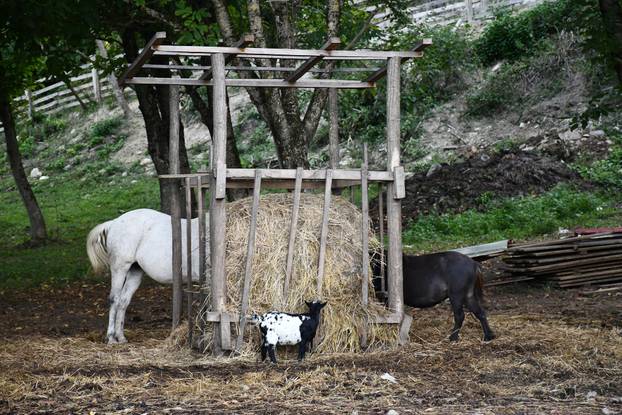 FOTO Kokoši, peseki, konji... Evo što sve skriva Enin ranč pun ljubavi: 'Oni su moji ljubimci!'