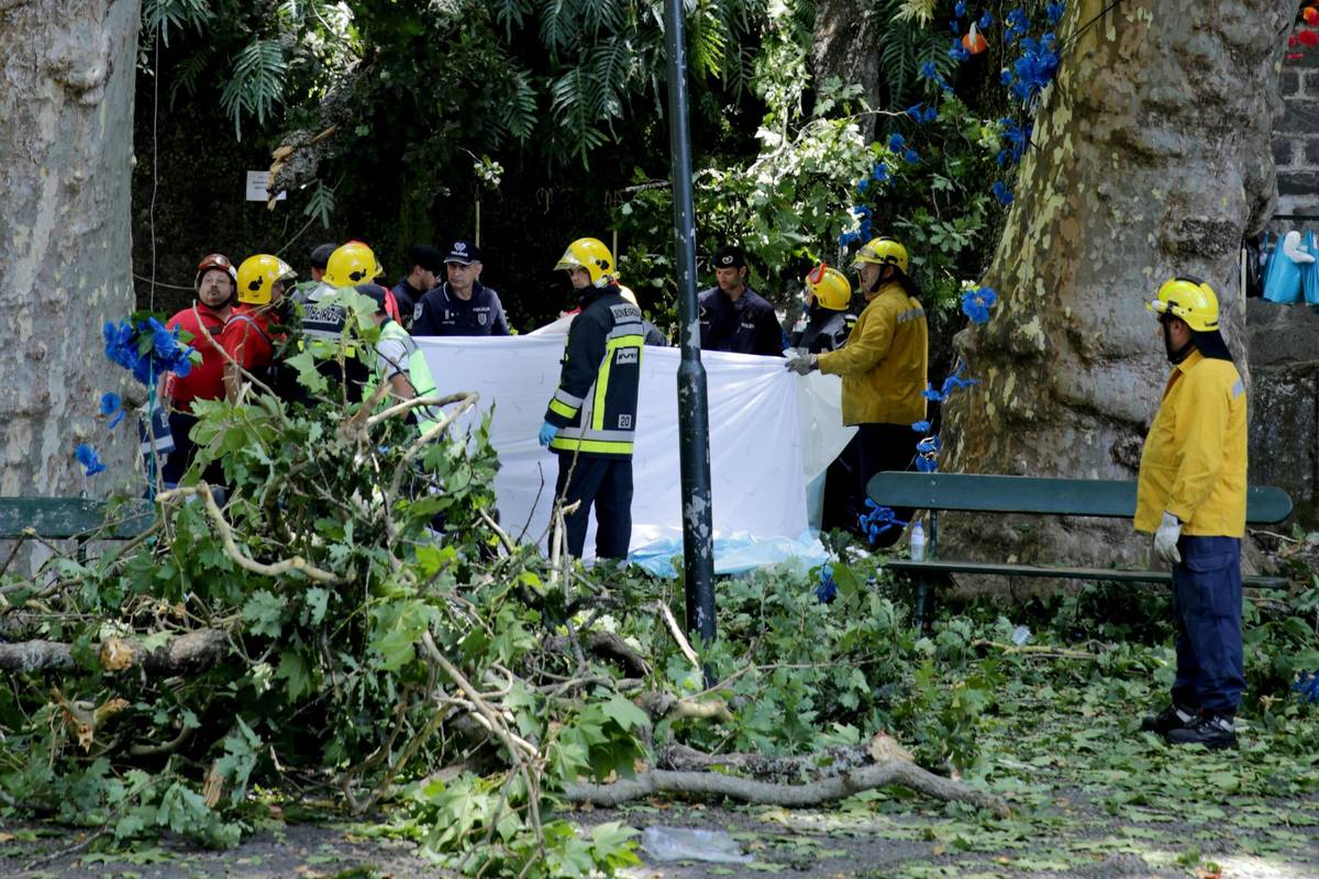 Krvava procesija: Na vjernike palo stablo, poginulo 13 ljudi