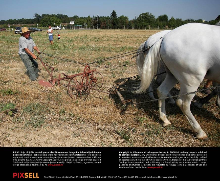 Davor Javorović/Pixsell