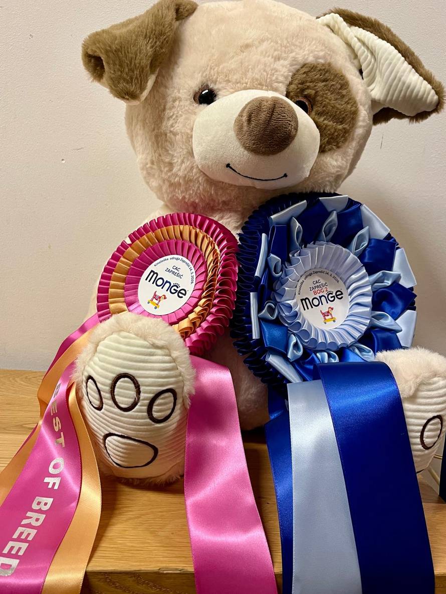 Kaja je dijete-anđeo, ali ima i svoje anđele čuvare s kojima osvaja srca na izložbama pasa!