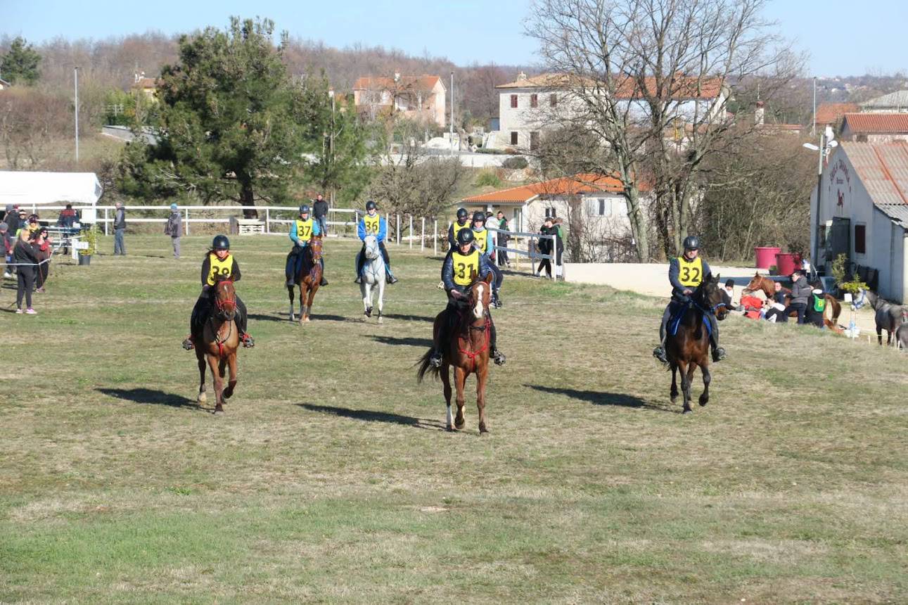 Završnica Croatia Cupa u daljinskom jahanju u Barbanu: "20 godina Endurancea u HR"