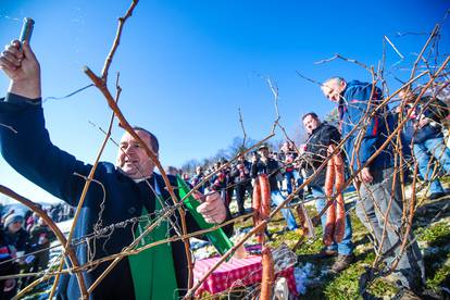 FOTO U Kašinskoj Sopnici održali ceremoniju kićenja trsa