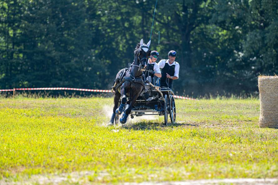 CAI FERIČANCI 2025: Slavonija u punom galopu: konjičko natjecanje, vino i doživljaji!