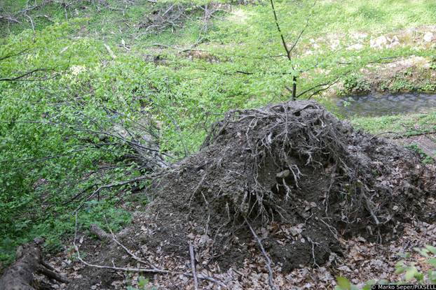 Zagreb: Tri tjedna nakon razorne oluje na Sljemenu i dalje vidljive posljedice 