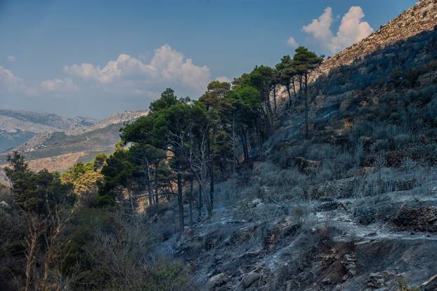 Srinjine: Zgarišta oko ceste Srinjine - Žrnovnica