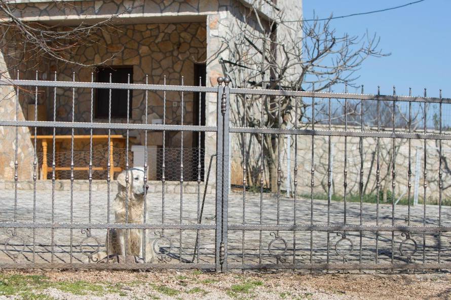 Tužni Rudijev pogled: Inače laje cijelu noć, od sinoć kad je umro Bandić, pas cijelo vrijeme šuti