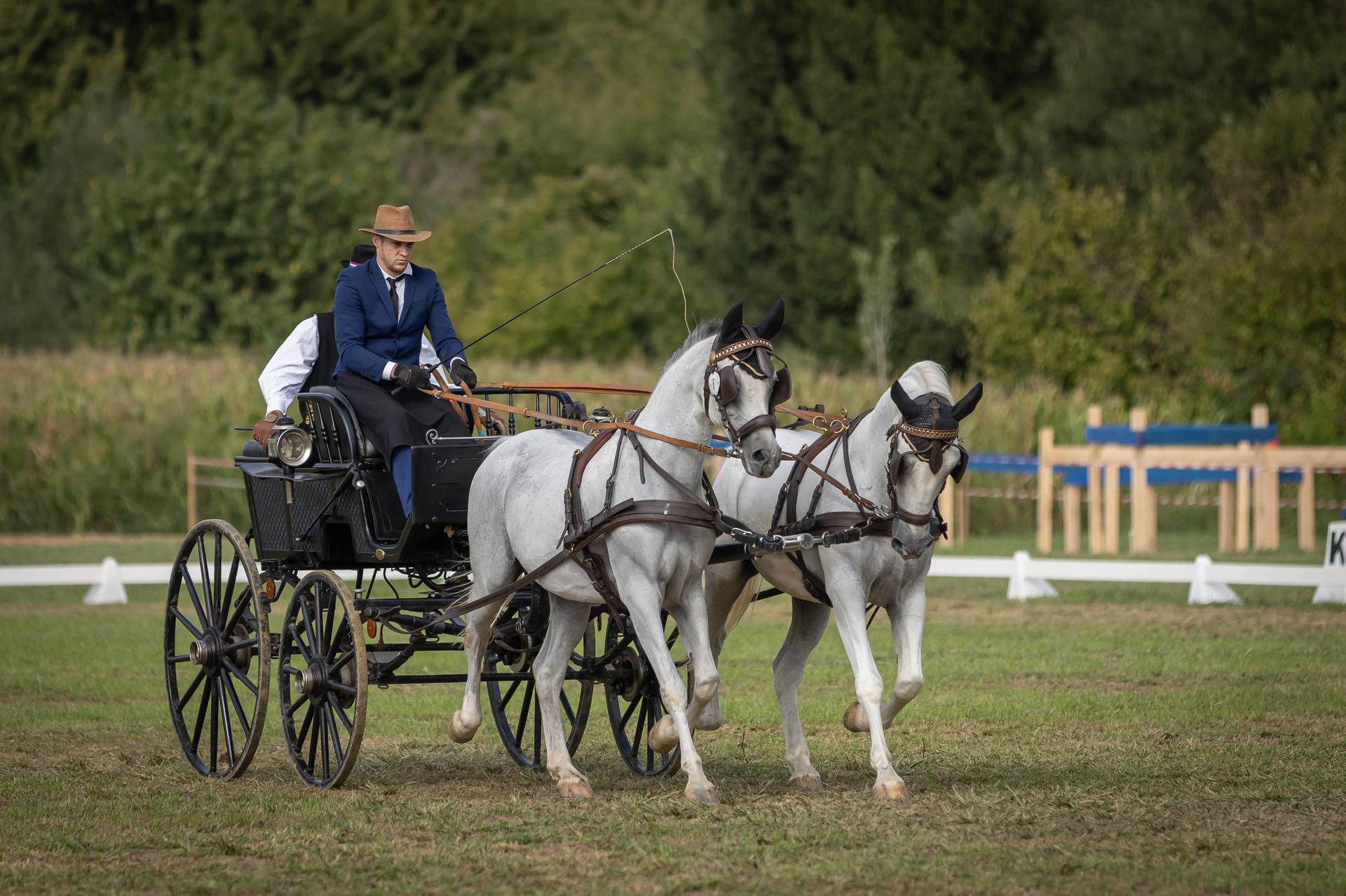 U Feričancima po prvi put održana CAN-a, međunarodno konjičko natjecanje