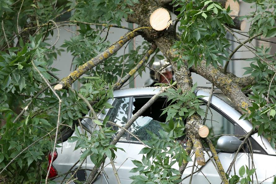 Zagreb: U Lastovskoj ulici pala grana na automobil i oÅ¡tetila ga, intervenirali vatrogasci