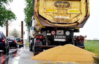 Neoprezni vozač 'posijao' više tona pšenice po cesti
