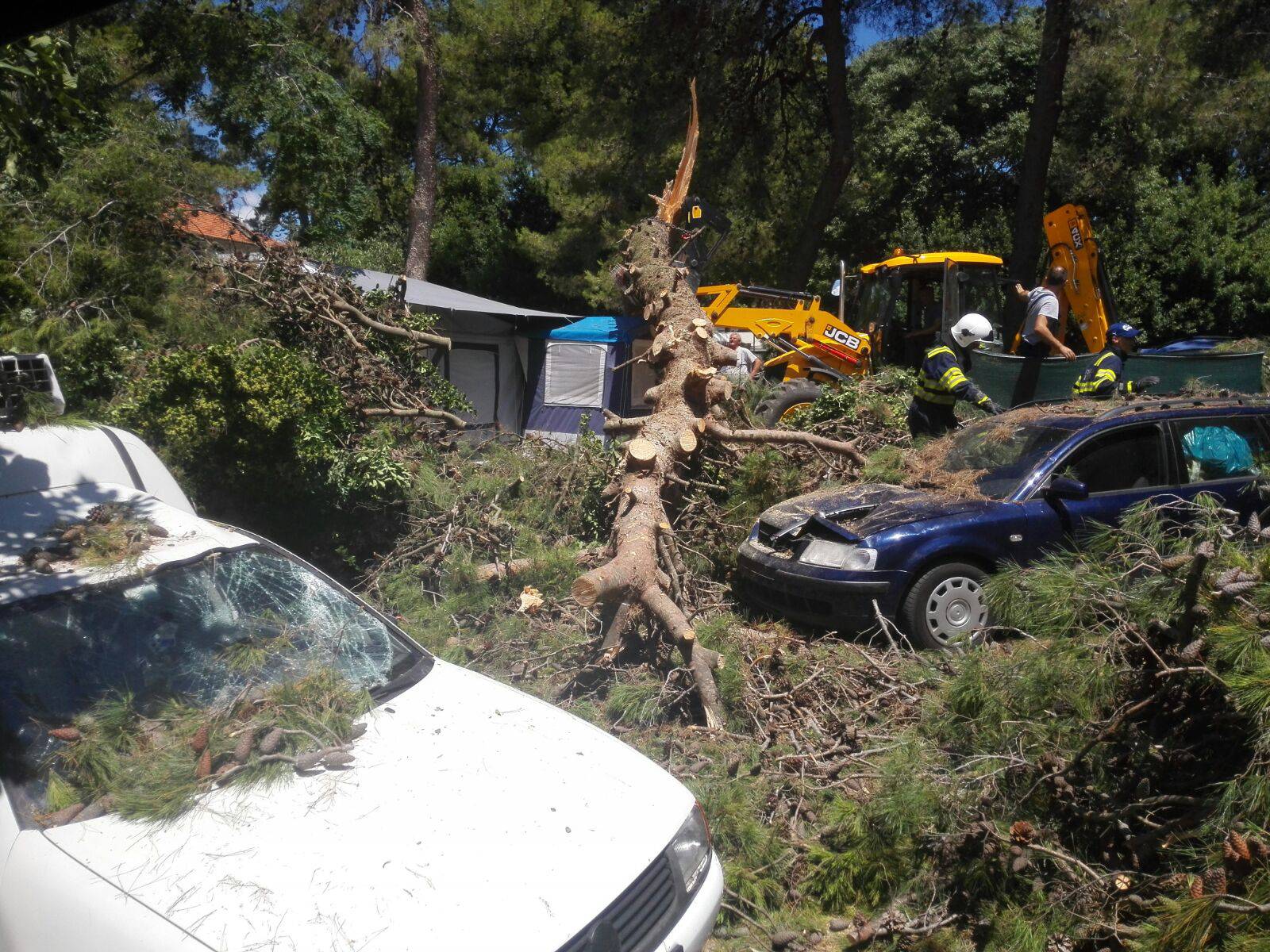 Srušilo se stablo  u autokampu: Grana je ozlijedila dvoje djece