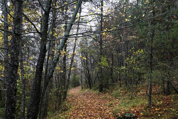 Vodice: Jesenja mističnost Ćićarije