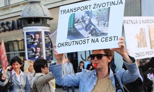 Eurozastupnici: Životinje u transportu često proživljavaju horor, potrebni su bolji uvjeti