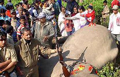U Indiji su konačno ubili Osamu bin Ladena - slona