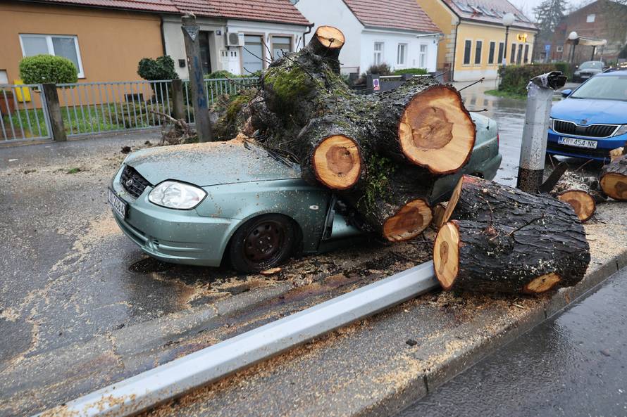 Zagreb: Nevrijeme srušilo stablo koje  je palo na automobil 