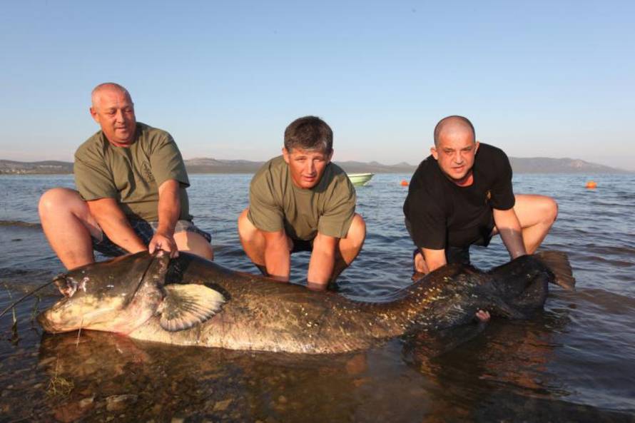 Željko Mršić/Pixsell