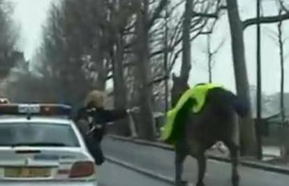 Policijska potjera: 'Ludog' konja lovili u centru Pariza