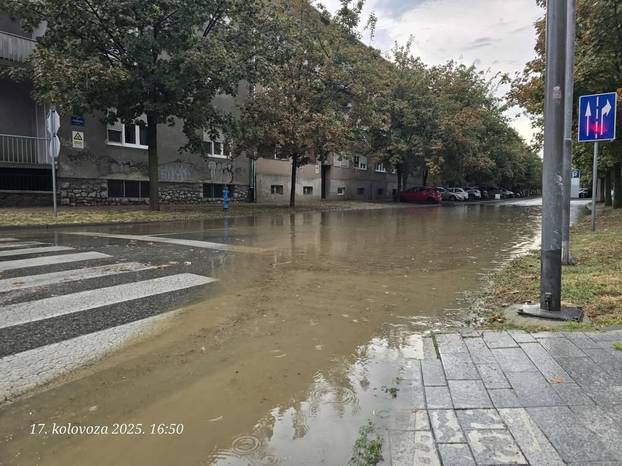 FOTO Veliko nevrijeme poharalo Osijek. Srušena stabla: Otvorilo se odjednom nebo i zemlja...