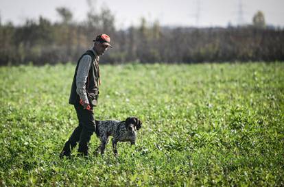 FOTO Pogledajte najbolje lovne pse na svijetu kako se natječu za svjetske titule u Rugvici