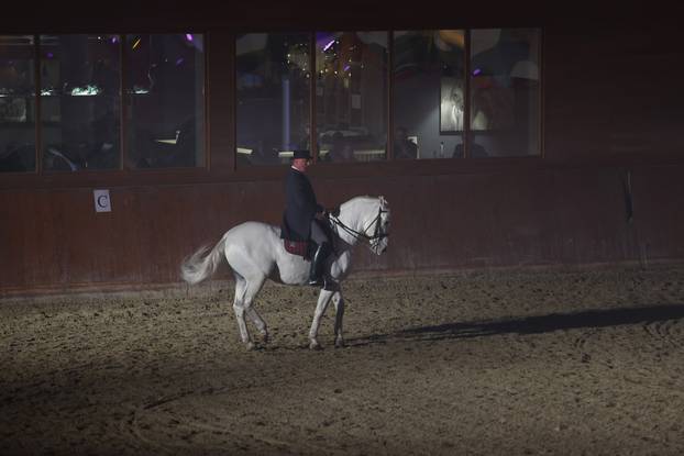 Đakovo: Božićni bal lipicanaca 