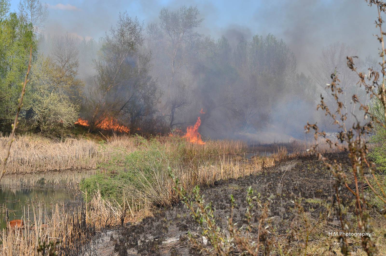 Požar kraj Koprivnice: Izgorjelo je 14 hektara šume i vikendica