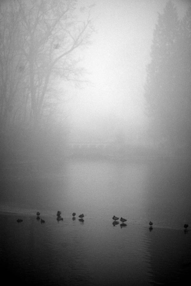 Zagreb: Gusta magla sakrila boje parka Maksimir