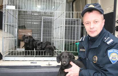 Policajac je spasio pet psića: Ostavljeni su u kutiji uz cestu 