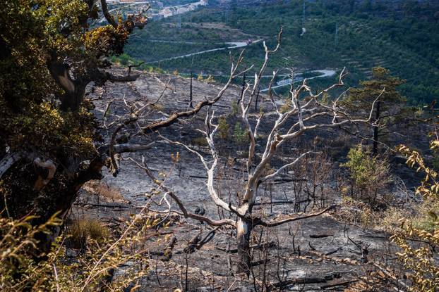 Žrnovnica: Zgarišta po obroncima Mosora