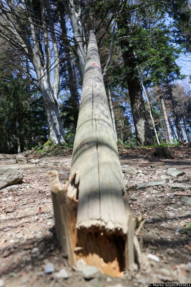 Zagreb: Tri tjedna nakon razorne oluje na Sljemenu i dalje vidljive posljedice 