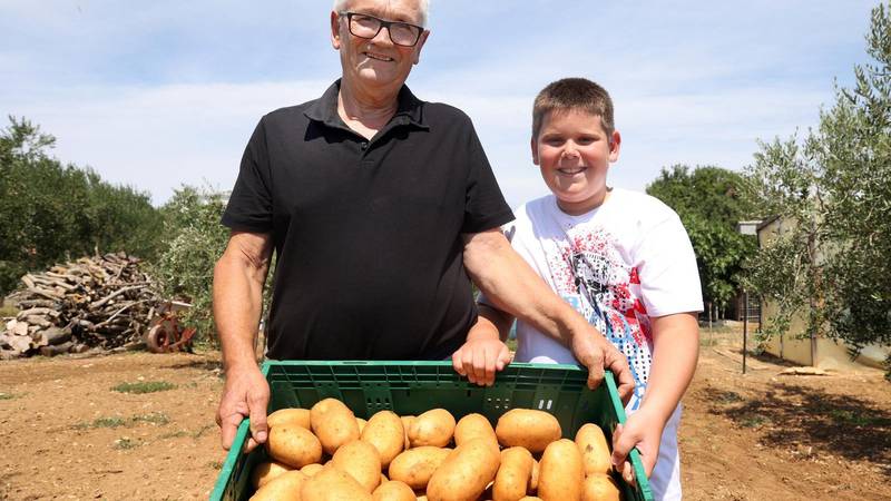 Djed i unuk (10) uzgojili kapulu od 2,37 kg i tri tone krumpira: 'Moj did i ja imamo ga za sve!'