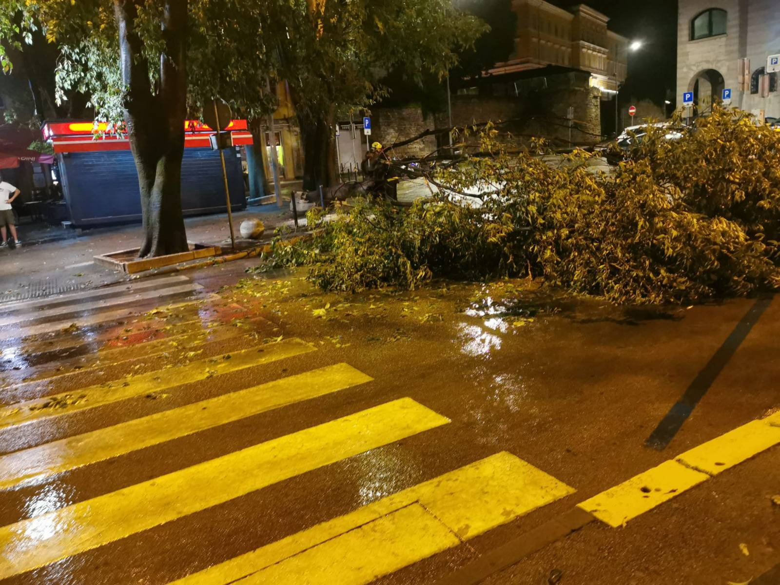 VIDEO Kiša poharala Istru, u centru Pule srušilo se i drvo