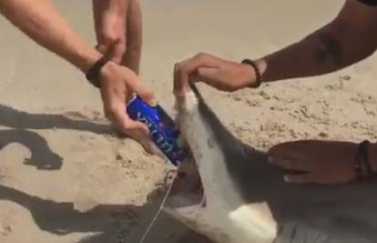 'Vi ste zlostavljači!': Zubima morskog psa otvorili limenku