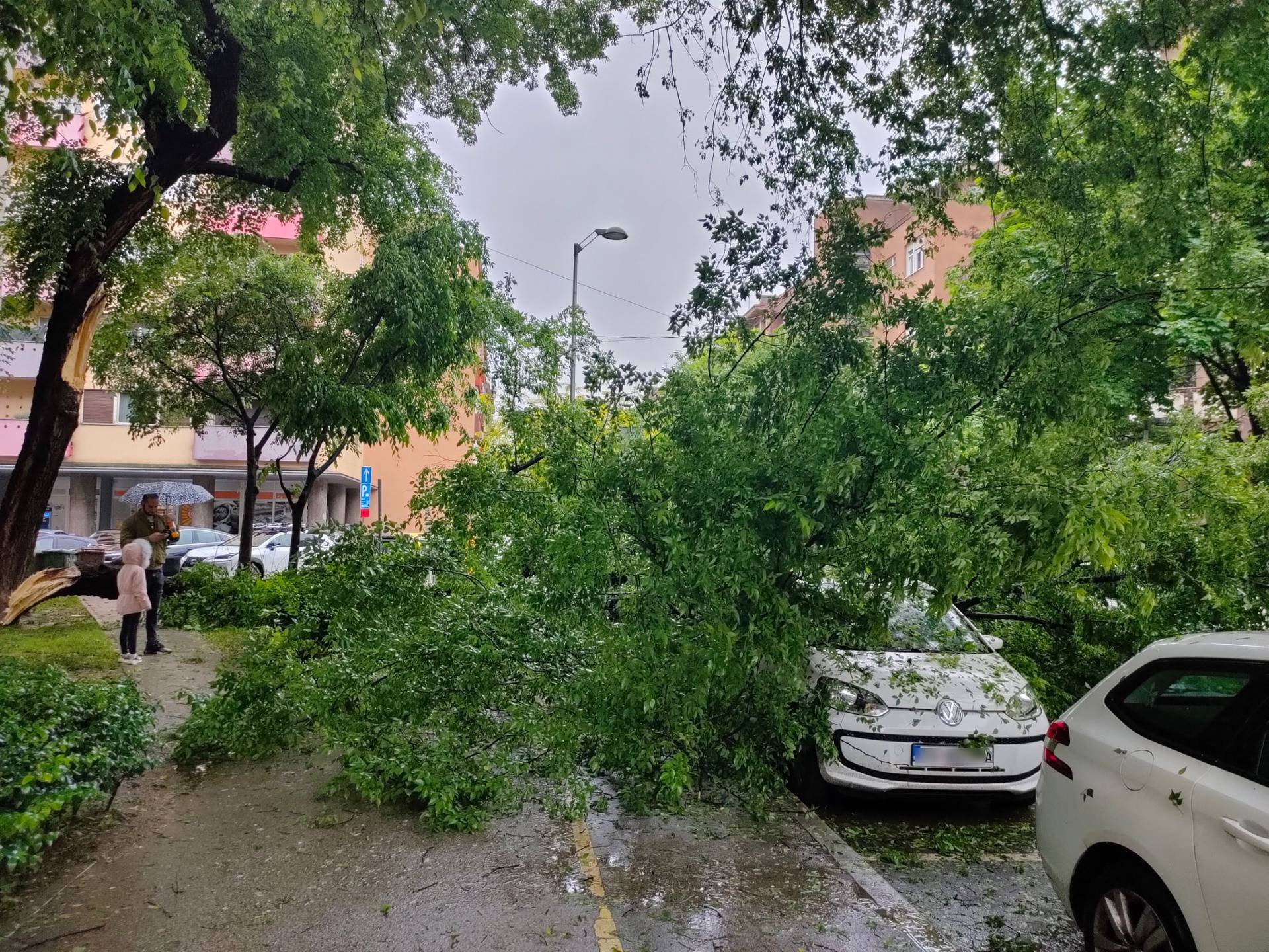 Nekoliko intervencija zbog palih drveća u Zagrebu: U Martićevoj ulici jedno je palo na automobil