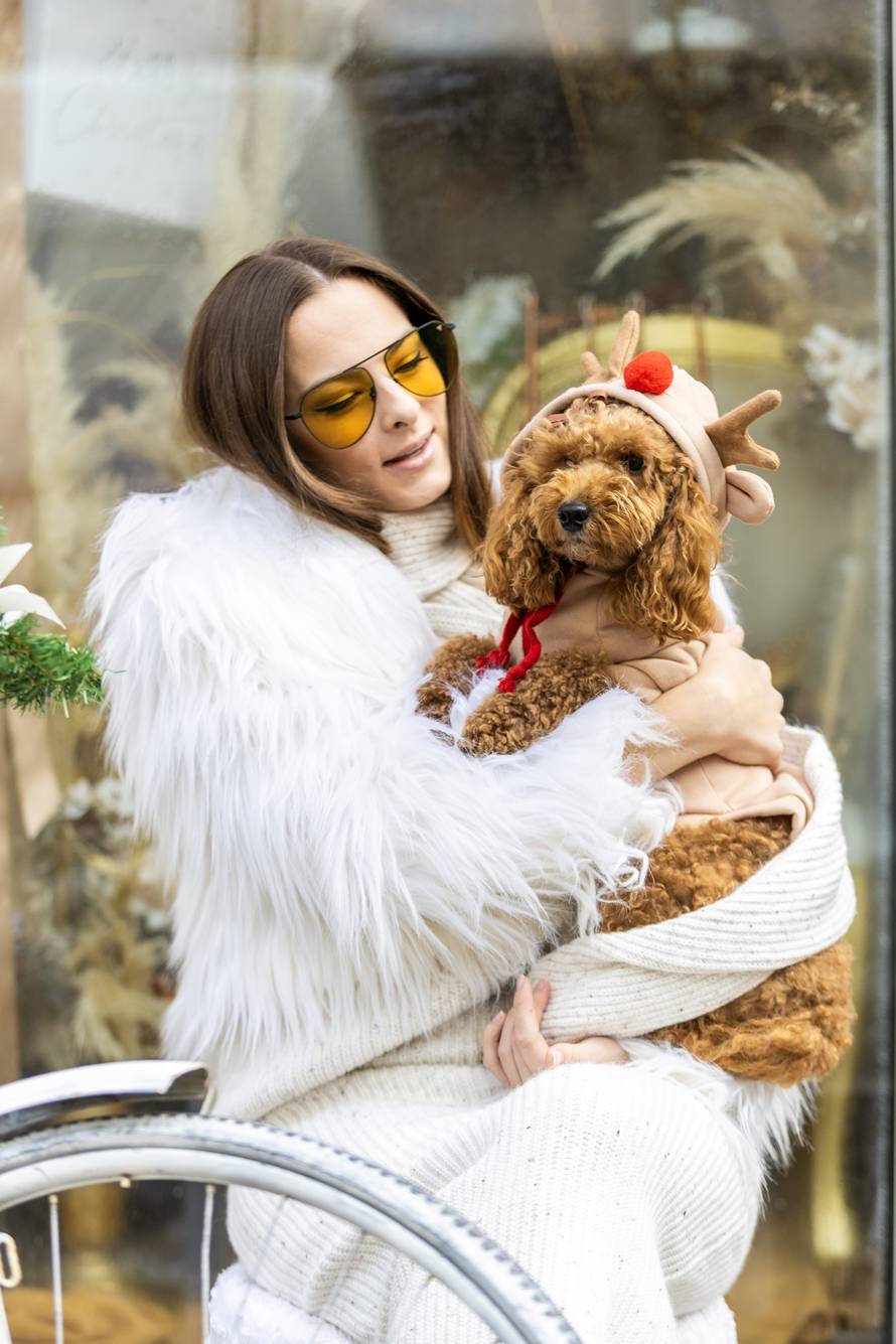 24sata: Pula: Pas pozira ispred cvjećarnice i glumi soba