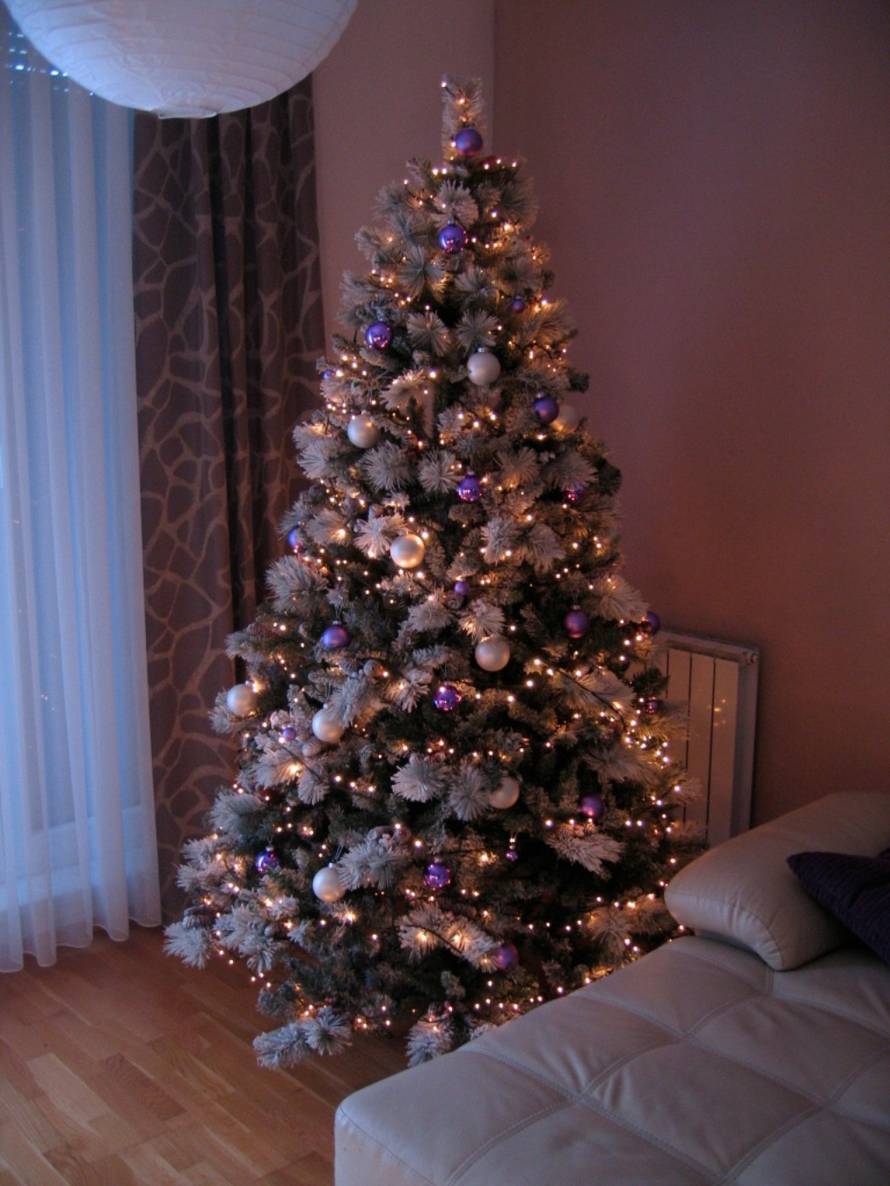 Šaljite fotografije božićnih jelki i osvojite vrijednu nagradu...