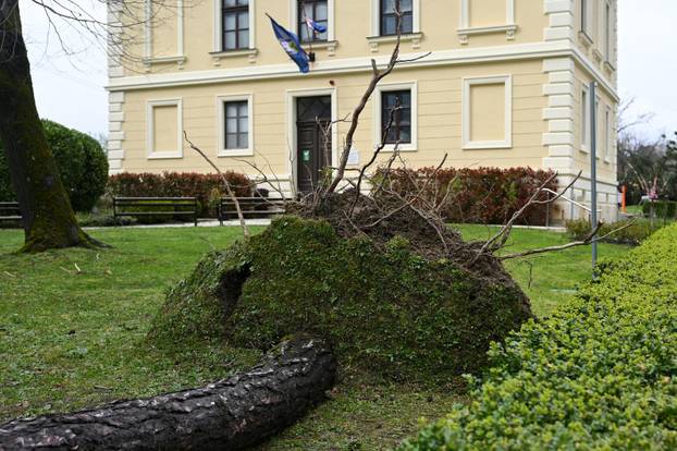 Zagreb: U nevremenu teško oštećeno gradsko groblje Mirogoj