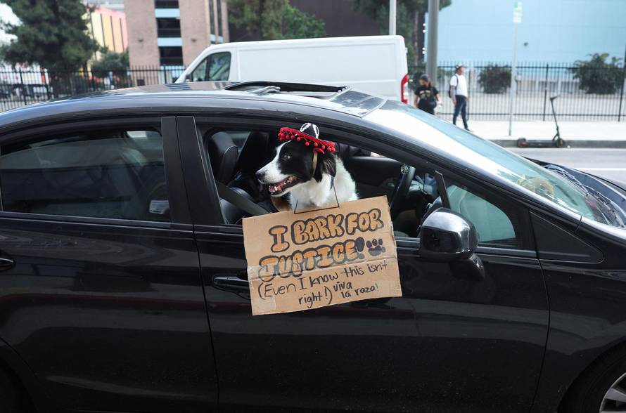 Protest against federal immigration sweeps, in Los Angeles