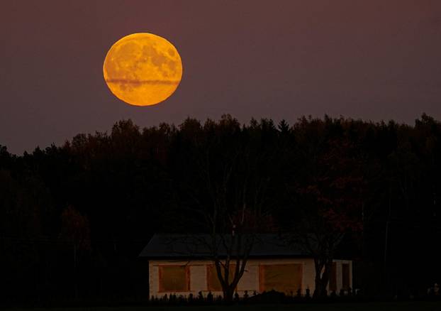 Supermoon known as Hunter's moon, rises in Liepupe
