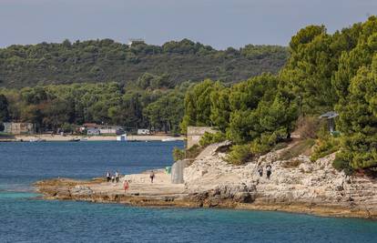 Pulski aktivisti: Gradonačelnik Zoričić obmanjuje građane oko krčenja šume na Valkanama