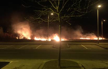 Požar u Novom Jelkovcu: Gorjeli su trava i nisko raslinje