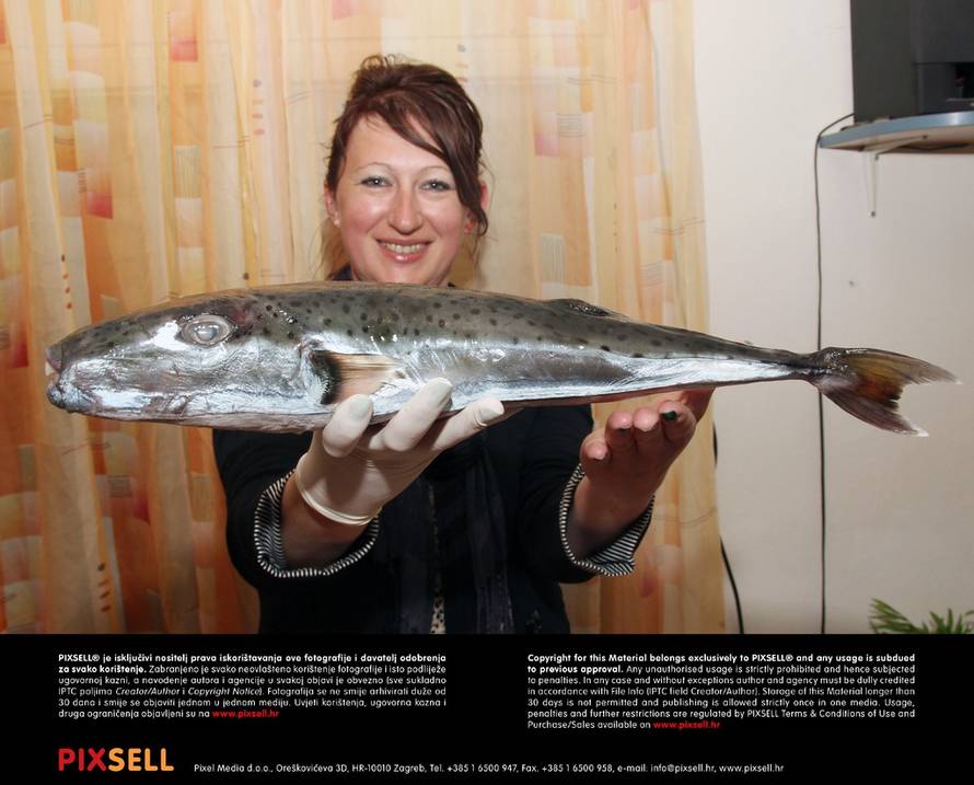 Duško Jaramaz/Pixell