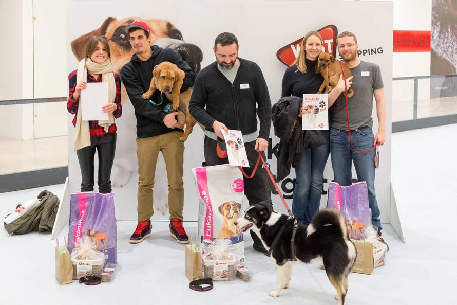 Traži se glavna njuška Westgatea! Prijavite ljubimca