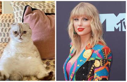 Mačka Taylor Swift vrijedi 91,5 milijuna eura: Treća je na listi, ima još bogatijih ljubimaca