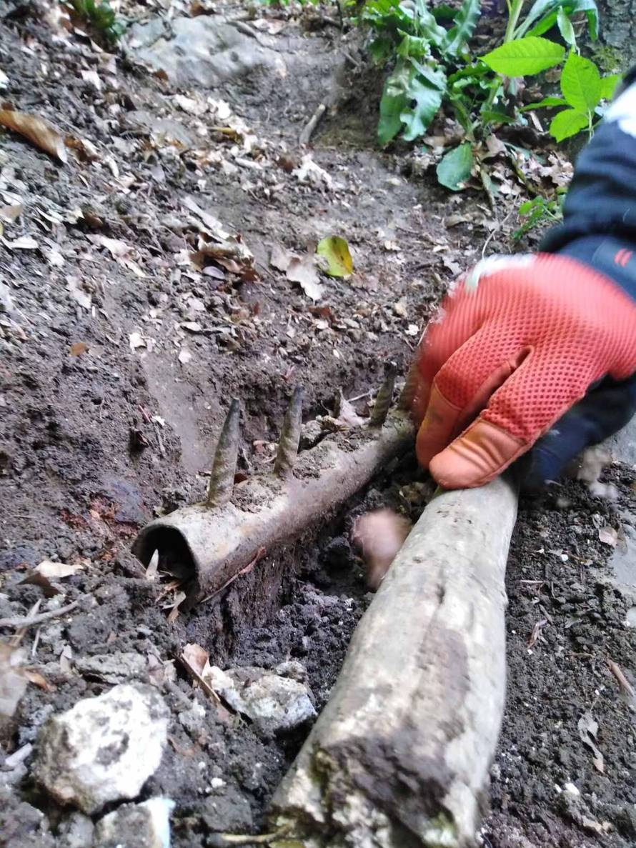 'Postavljaju nam zamke, sajle, čavle, prijete nam... Prijatelj je stao na šiljak i ozlijedio nogu!'
