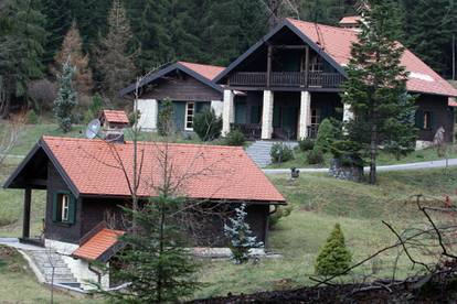 FOTO Krvavi safari, umjetnine i poziranje: Kako je živio Nadan Vidošević - 'hrvatski Clooney'...