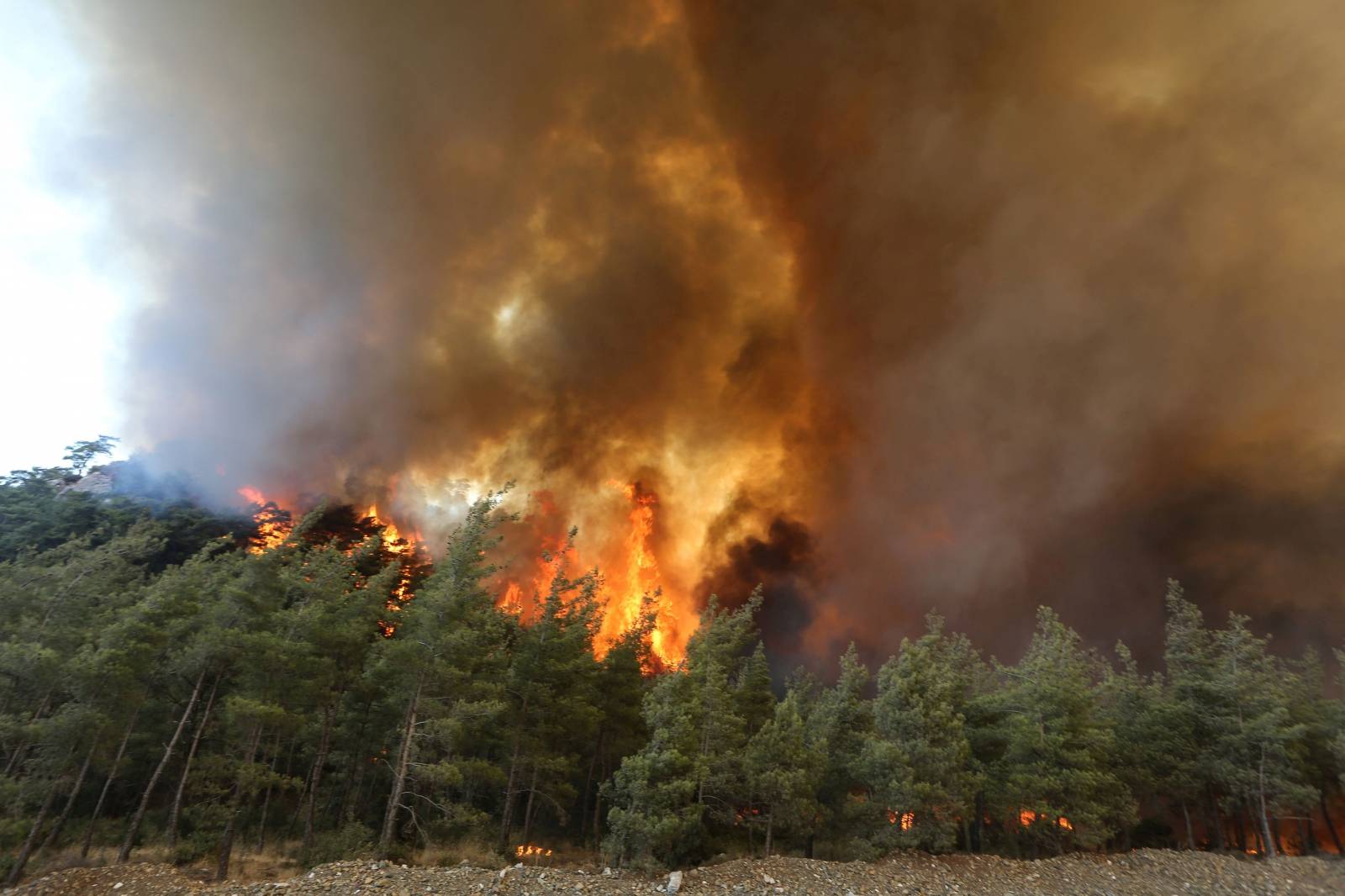 Huge wildfire rages in Aegean resort town of Marmaris