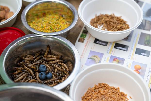 Zagreb: Obilježavanje 99. godišnjice osnutka Zoološkog vrta Grada Zagreba